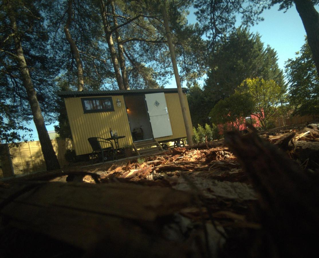 Forest Heath Shepherd'S Huts Ringwood Eksteriør bilde