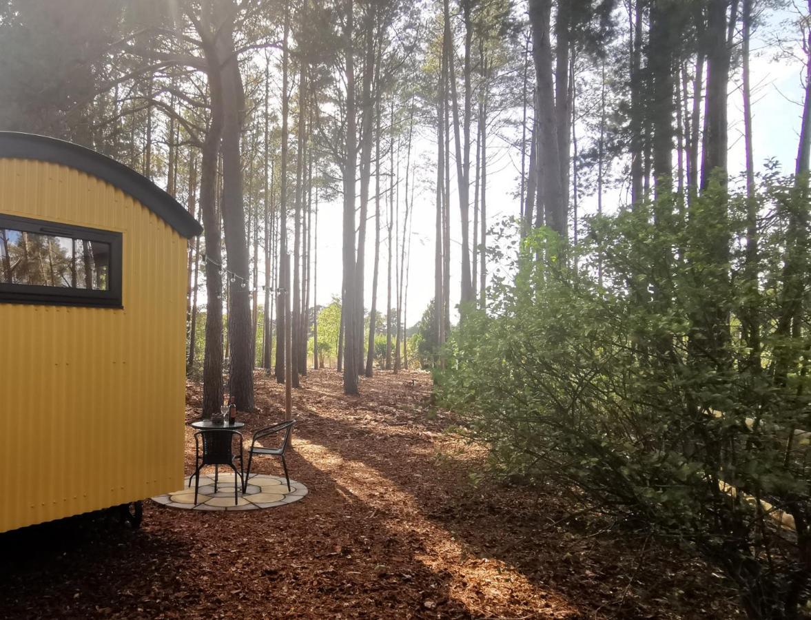 Forest Heath Shepherd'S Huts Ringwood Eksteriør bilde