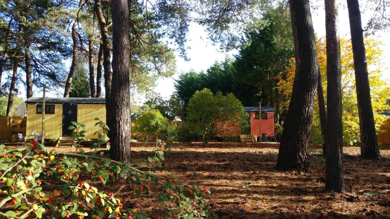 Forest Heath Shepherd'S Huts Ringwood Eksteriør bilde