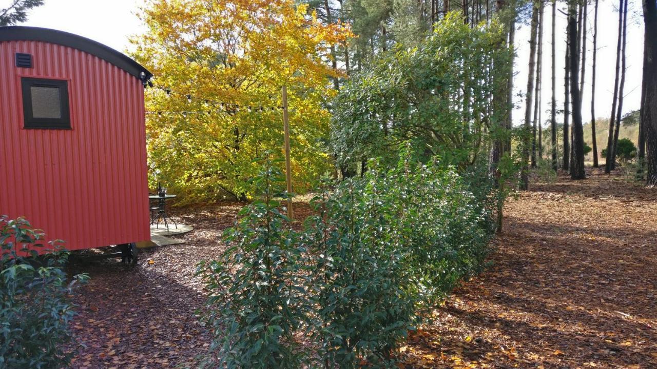 Forest Heath Shepherd'S Huts Ringwood Eksteriør bilde