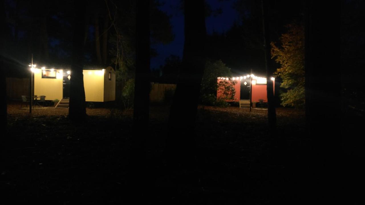 Forest Heath Shepherd'S Huts Ringwood Eksteriør bilde